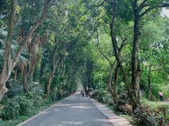 -华南国家植物园-售票处