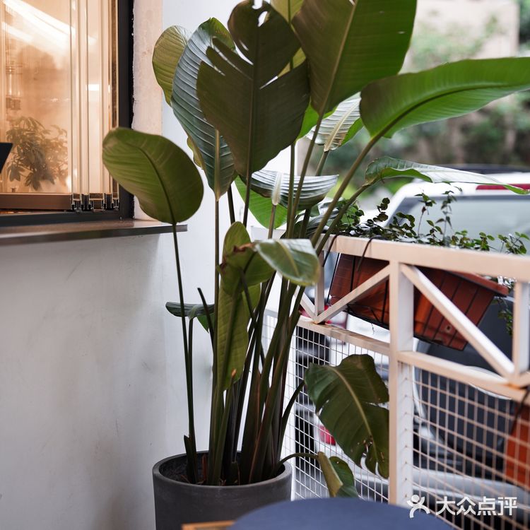 「桂酿与秋梨。是秋天到啦。」