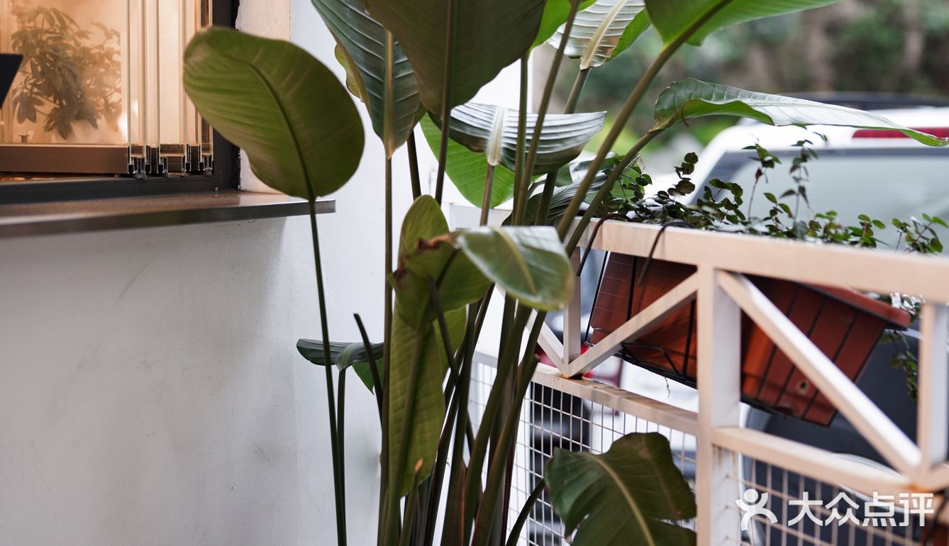 「桂酿与秋梨。是秋天到啦。」