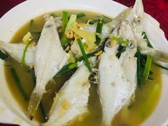 -蛇口康乐快餐鱼仔档(翠苑小区店)