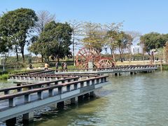 -顺峰山公园
