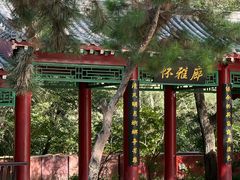 -长春市南湖公园