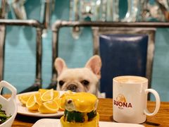 -百好乐宠物友好餐厅(朝外大街店)