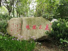 -上海鲜花港