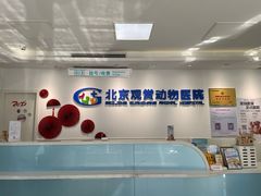 -北京观赏动物医院·24小时大型综合·猫专科·异宠专科