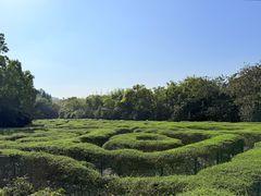 -大屏嶂森林公园