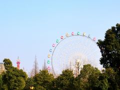 -洋湖国家湿地公园
