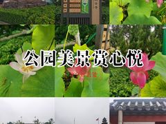 -天津市峰山药王古寺