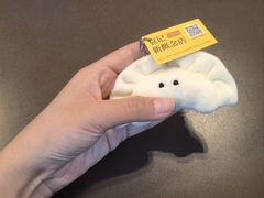 -袁记云饺的猜想(东方宝泰首店)