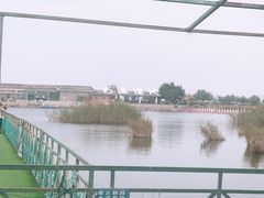 -包头南海湿地景区