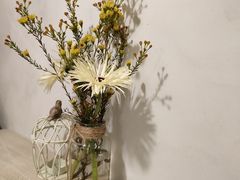 -春风·有糖(崇宁路店)