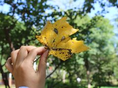 -回龙观体育文化公园