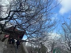 -千佛山风景名胜区