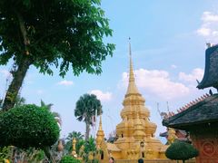-西双版纳傣族园