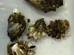 -东疆理想海岸沙滩景区
