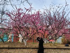 -元大都城垣遗址公园