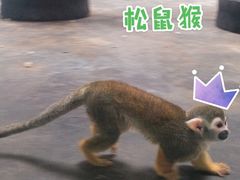 -西安秦岭野生动物园