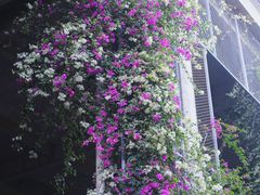 -广州市紫泥堂文化创意园景区