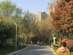 -青枫公园