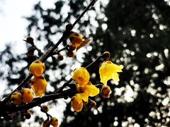 -颐和园