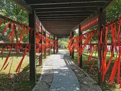 -东钱湖小普陀景区