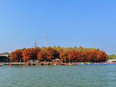 -上海海湾国家森林公园