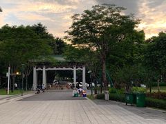 -王借岗森林公园