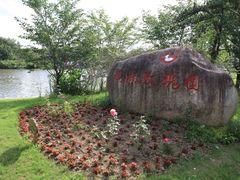 -鹅湖玫瑰文化园