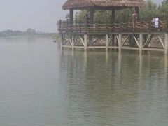 -瑶湖郊野森林公园