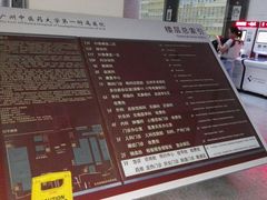 -广州中医药大学第一附属医院(总院)