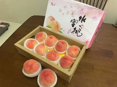 -老袁家蜜桃农场·阳山水蜜桃