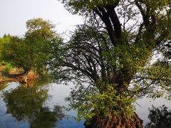 -大理洱海