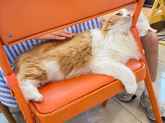 -氷冰凉刨冰甜品(北京路店)