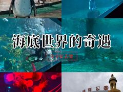 -北戴河圣蓝海洋公园