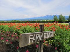 -富田农场