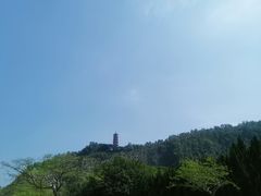 -南沙蒲洲花园