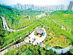 -龙头寺公园