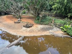 -海南热带野生动植物园