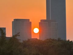 -厦门园林博览苑