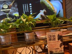 -云海肴·汽锅鸡·云南菜(苏州中心店)