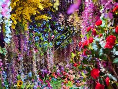 -正佳雨林生态植物园