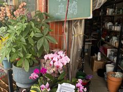 -溪岸路花鸟市场