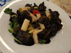 藕尖木耳-东方饺子王(和平里店)