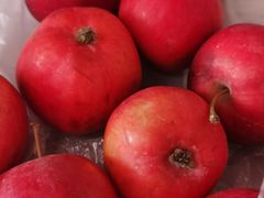 -家辉生鲜超市(东五路店)