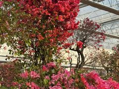 -沂蒙云瀑洞天景区