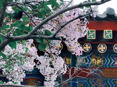 -西安市广仁寺