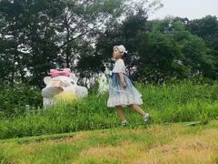-大塘金香草谷