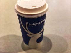 -瑞幸咖啡(广东外经贸大厦店)