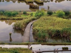 -盐城丹顶鹤湿地生态旅游区