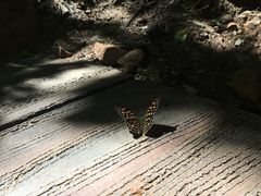 -塔云山